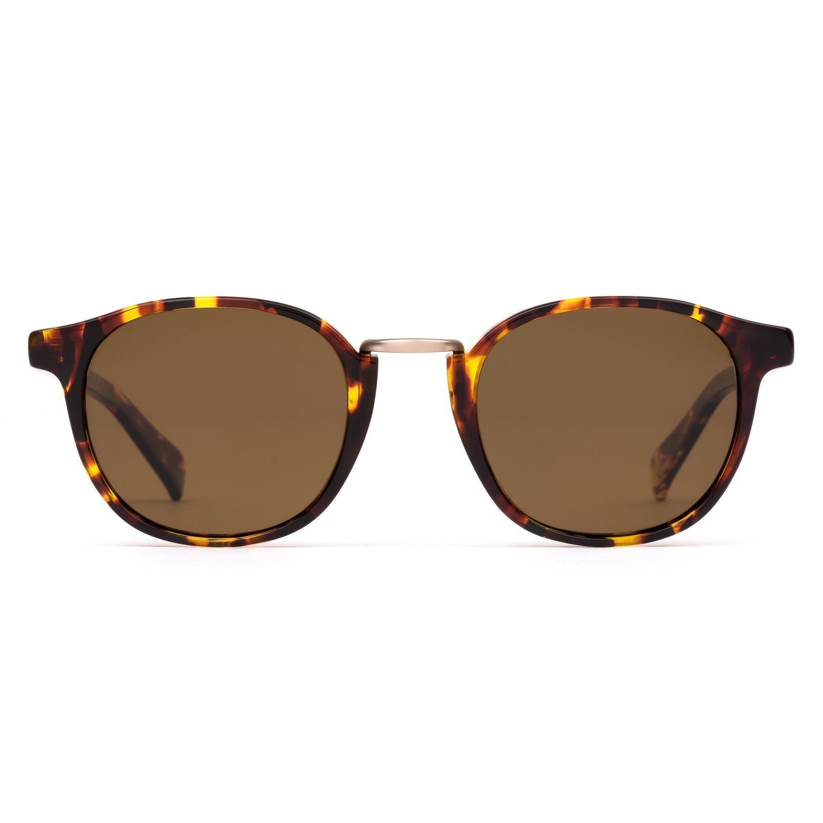 OTIS - A DAY LATE - ECO HAVANA SUN/BROWN POLAR - Bing Surfboards